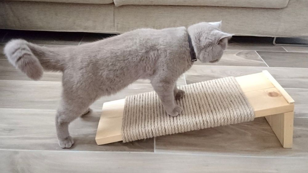 Напольные когтеточки для кошек — пример