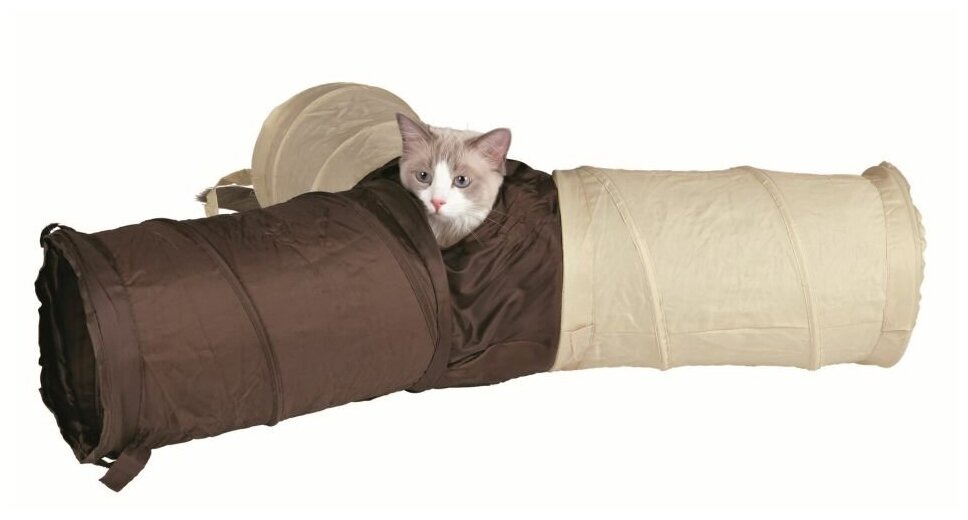 Кошка играет в тоннеле