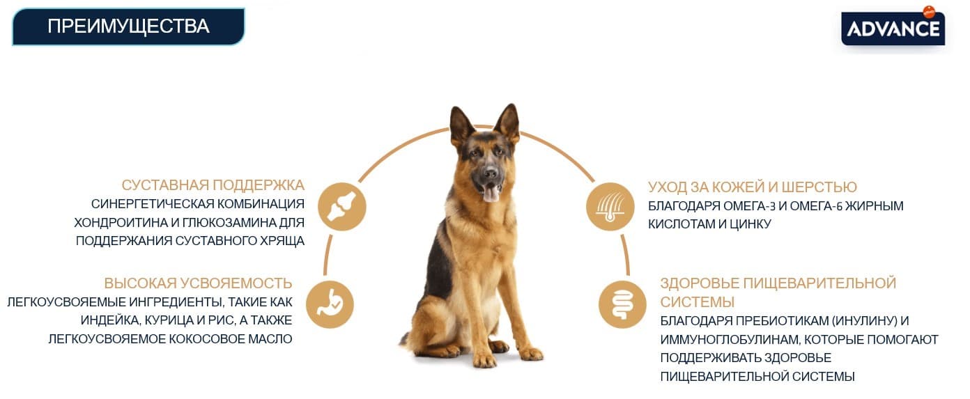 Сухой корм для немецкой овчарки Advance German Sheperd (индейка)