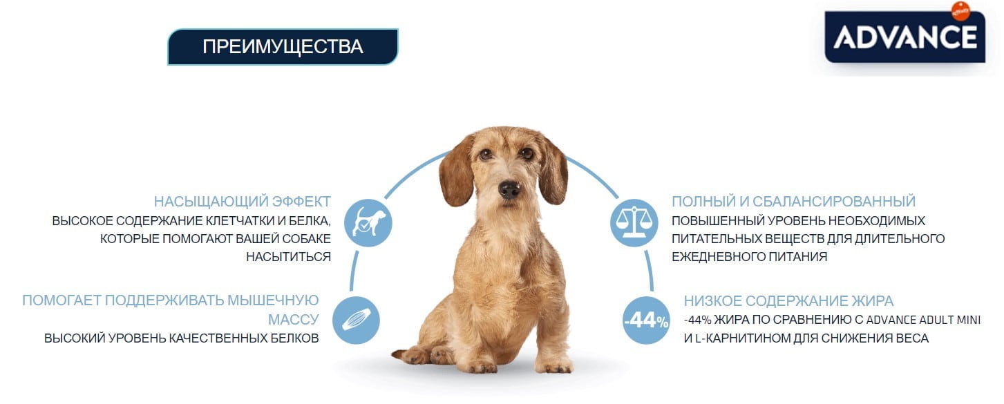 Сухой корм для собак Advance Dog Mini Light (курица)