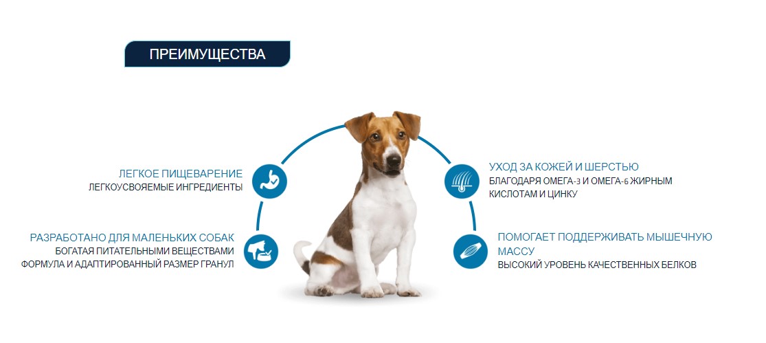 Сухой корм для собак мелких пород Advance Dog Adult Mini (курица)