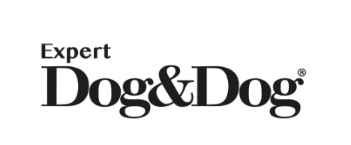 Dog&Dog