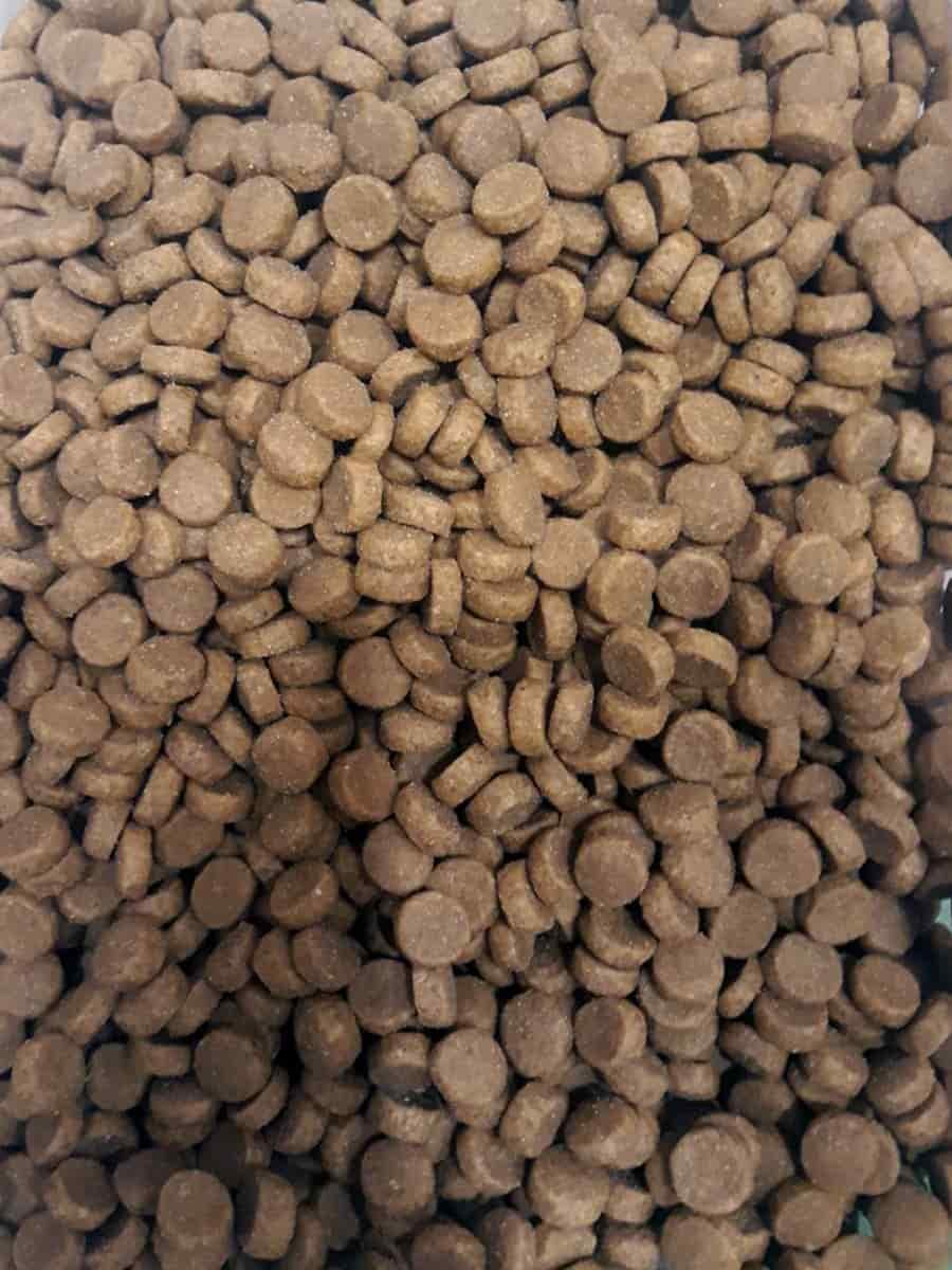 Сухой корм для кошек Probalance Cat Adult Gourmet Diet Beef & Lamb (говядина, ягненок)