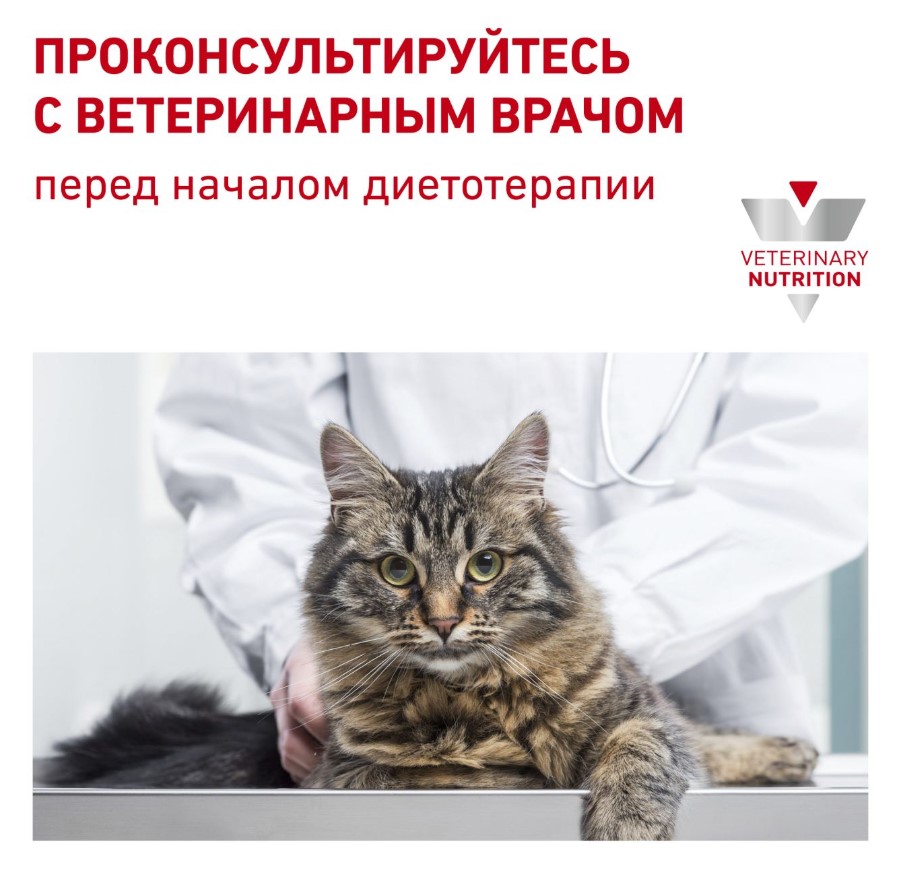 Сухой корм для кошек Royal Canin Hepatic Cat
