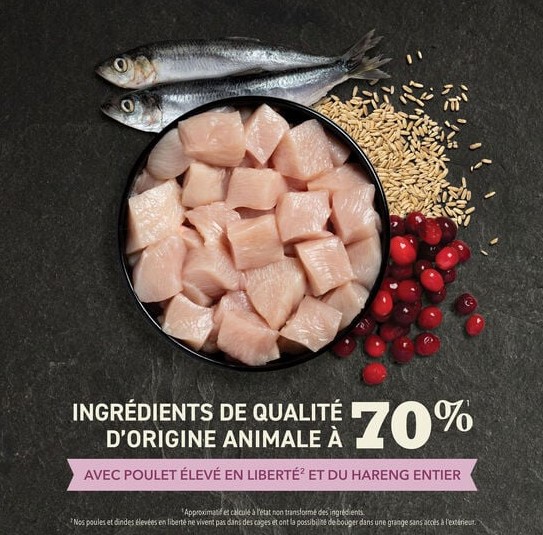 Сухой корм для котят ACANA FIRST FEAST Kitten (Курица, рыба)