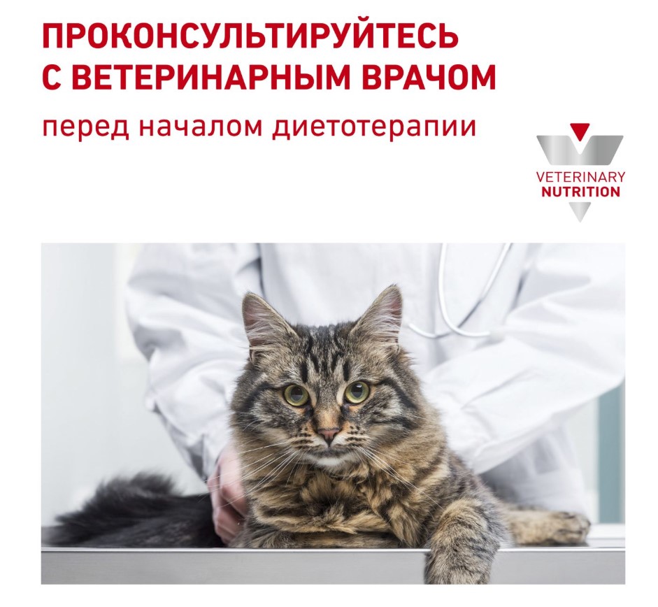 Сухой корм для кошек Royal Canin Renal Cat
