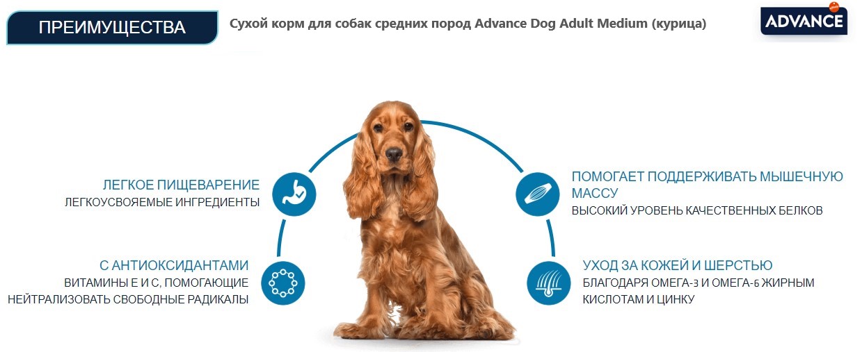Сухой корм для собак средних пород Advance Dog Adult Medium (курица)