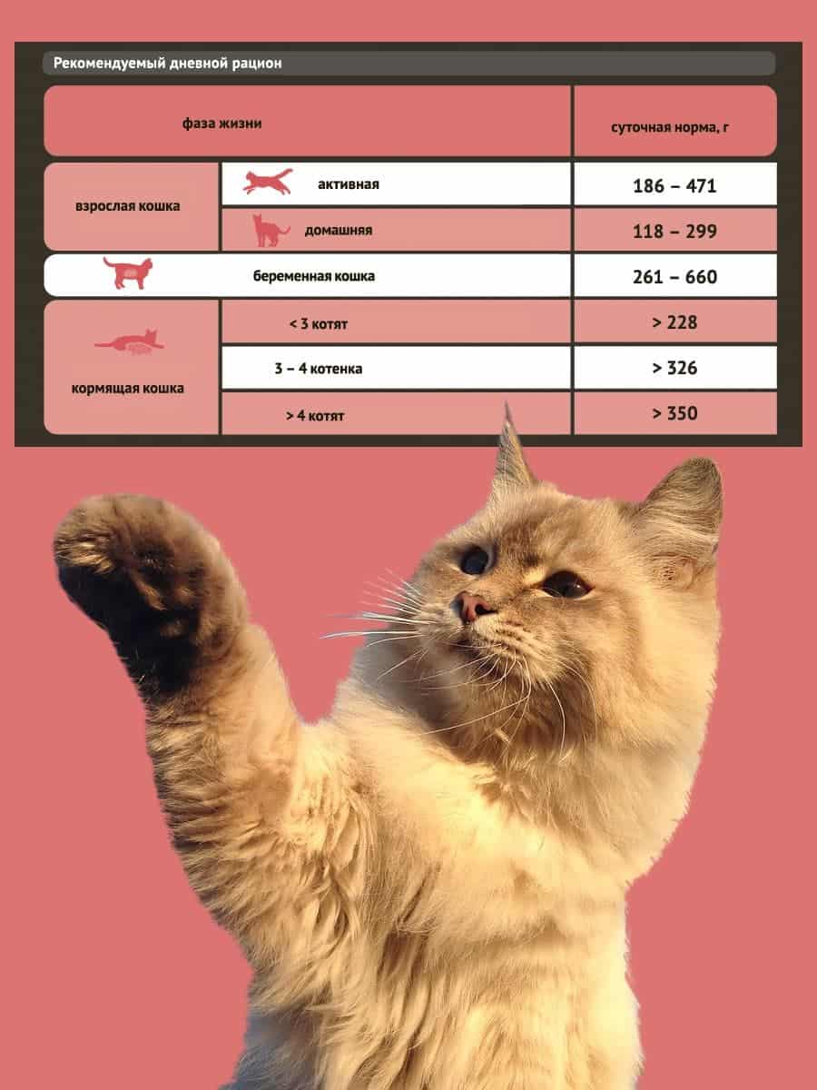 Влажный корм для кошек ProBalance Active Cat (курица)