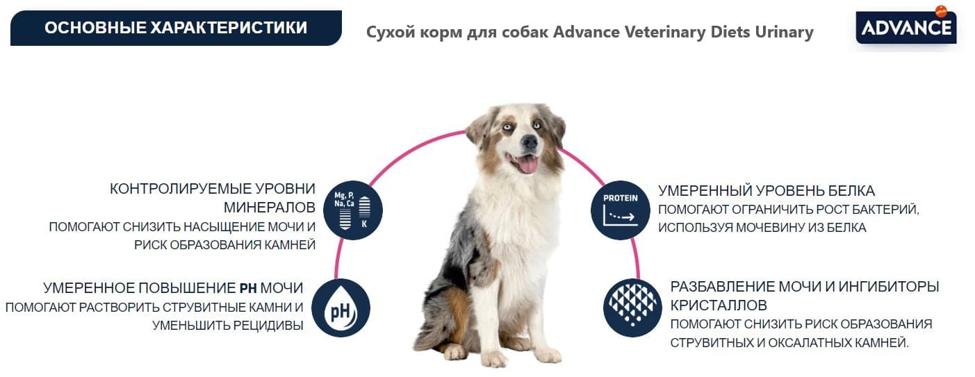 Сухой корм для собак Advance Veterinary Diets Urinary