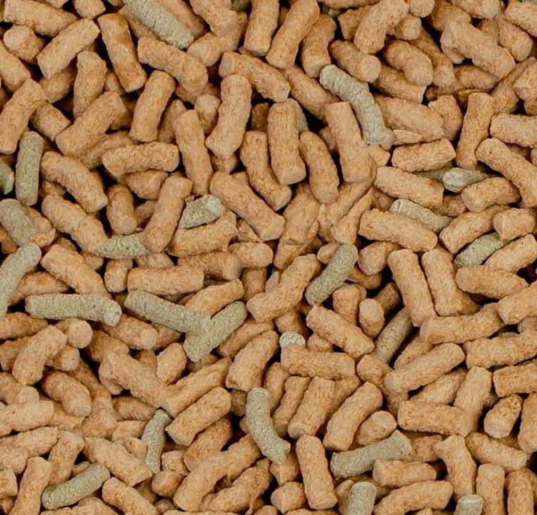 Корм для водных черепах SERA Raffy P