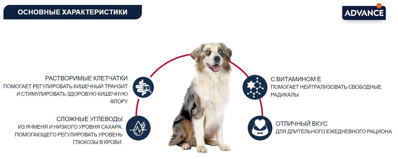 Сухой корм для собак Advance Veterinary Diets Diabetes