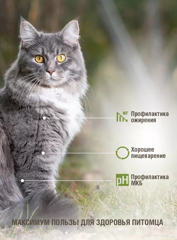 Сухой корм для кошек Darsi Sterilised (курица)