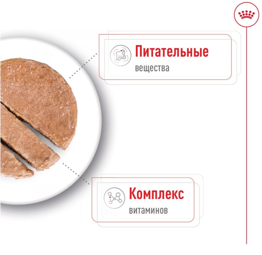 Паштет для собак Royal Canin Mini Adult