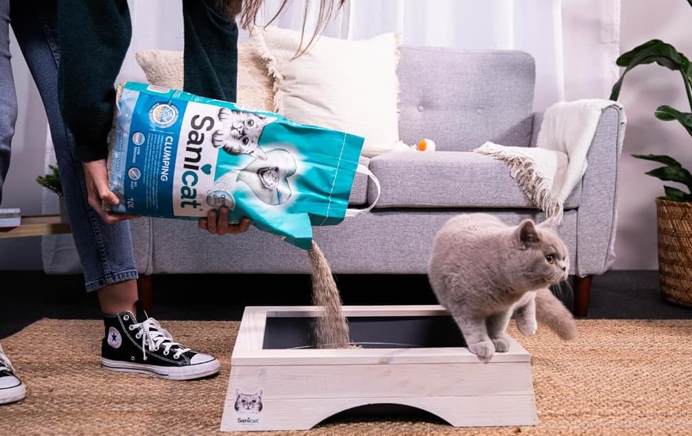 Наполнитель бентонитовый Sanicat Clumping Marseillе soap (аромат марсельского мыла)