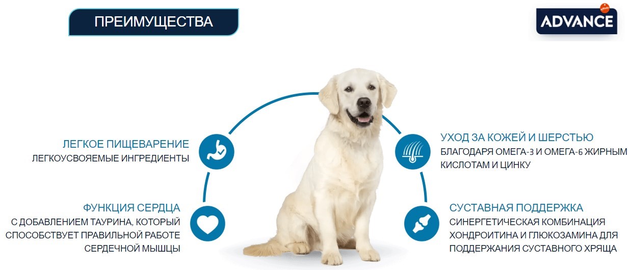 Сухой корм для собак крупных пород Advance Dog Adult Maxi (курица, рис)