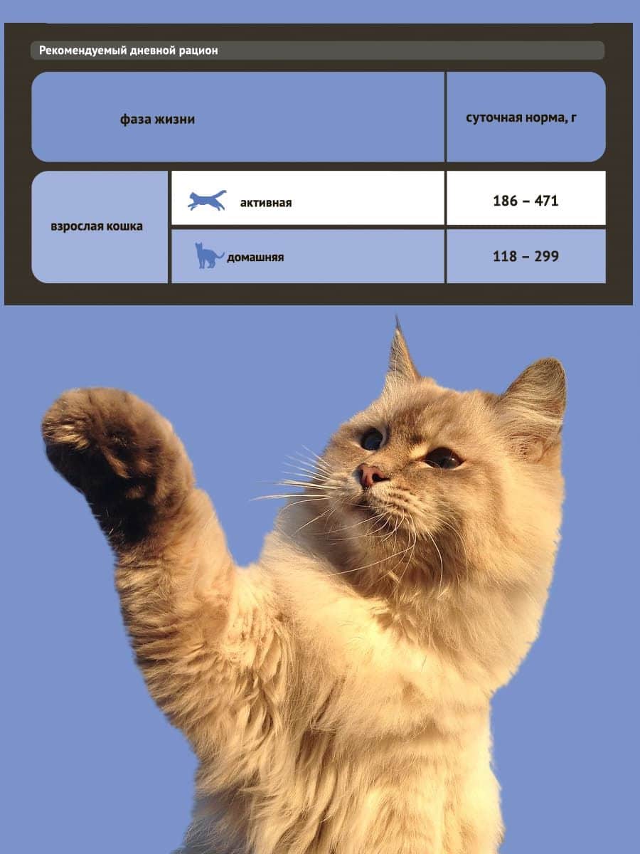 Влажный корм для стерилизованных кошек ProBalance Sterilized Cat (курица)