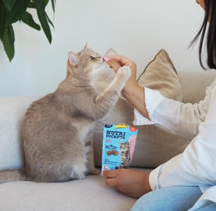 Лакомство для кошек GimCat Nutri Pockets (лосось)