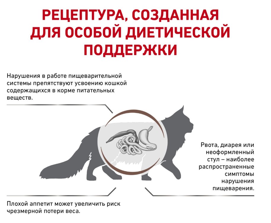 Сухой корм для кошек Royal Canin Gastro Intestinal GI32