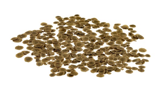Корм для тропических рыб Tetra PRO Algae Multi-Crisps