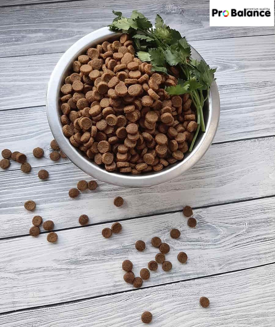 Сухой корм для собак ProBalance Dog Immuno Adult Mini