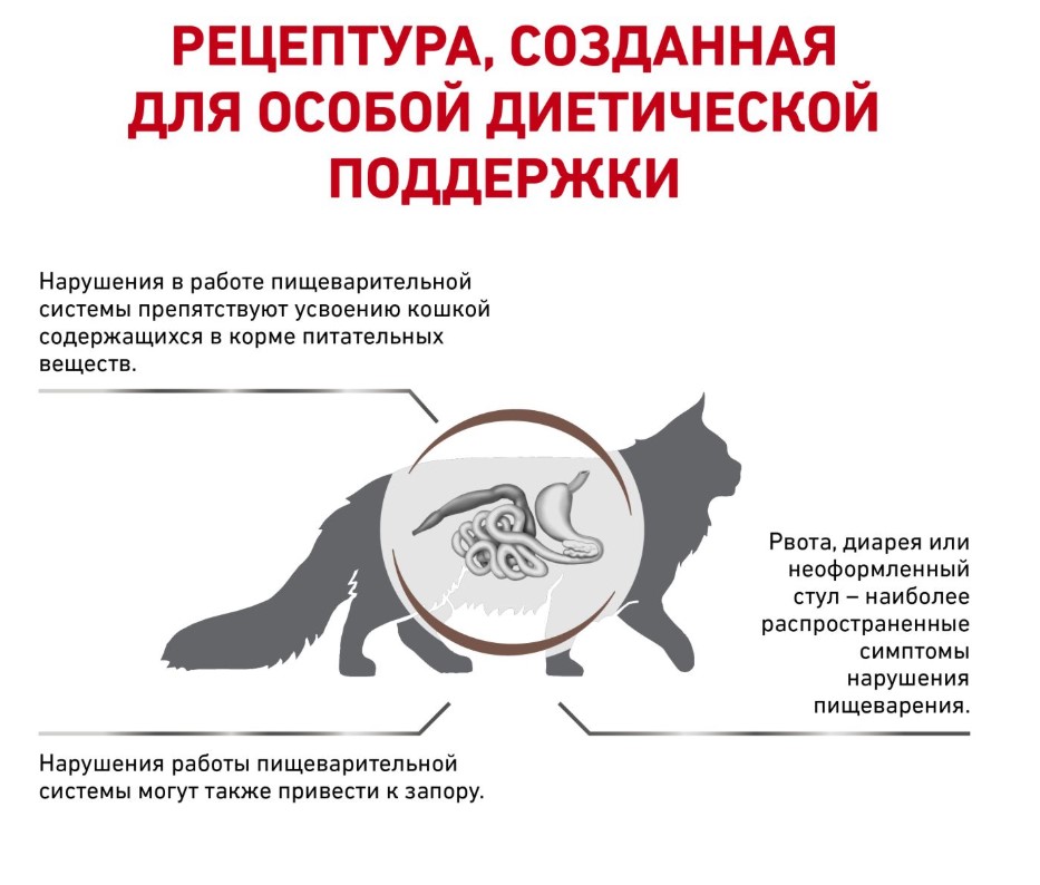 Сухой корм для кошек Royal Canin Gastrointestinal Fibre Response