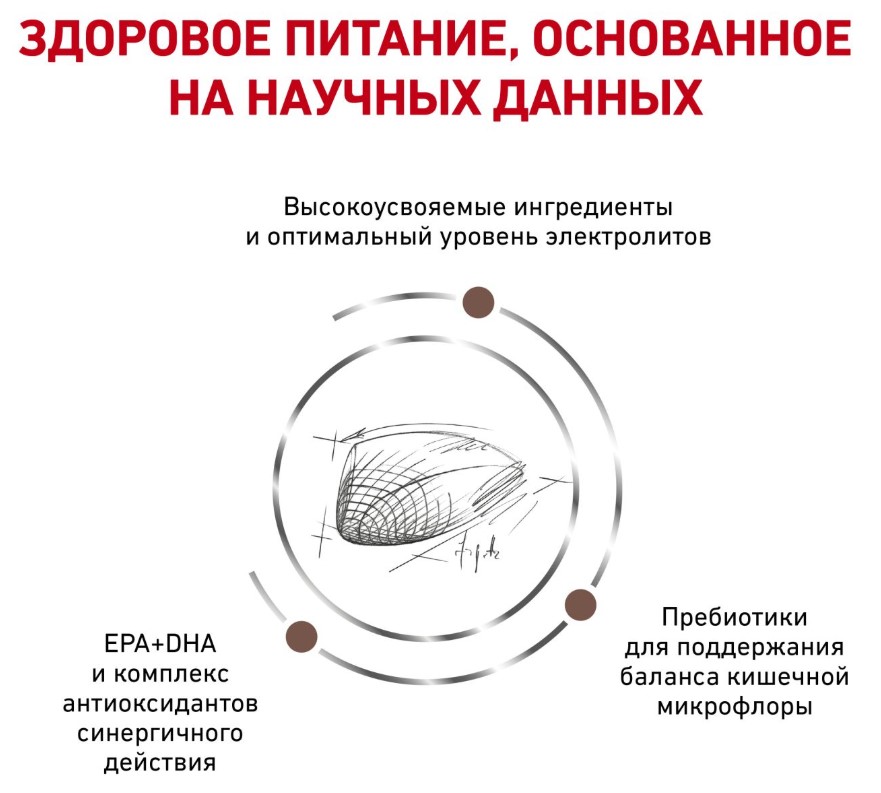 Сухой корм для кошек Royal Canin Gastro Intestinal GI32