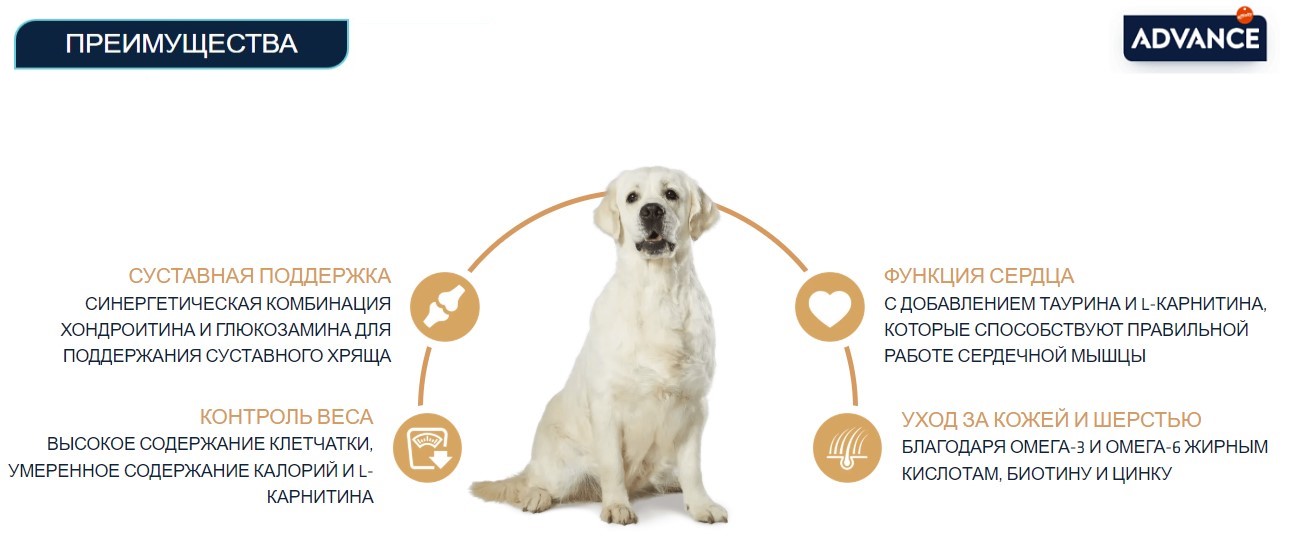 Сухой корм для собак Advance Labrador Retriever (курица)