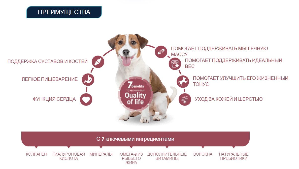 Сухой корм для собак Advance Dog Senior Mini (курица)