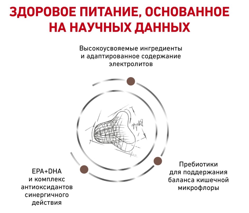 Сухой корм для кошек Royal Canin Gastrointestinal Fibre Response
