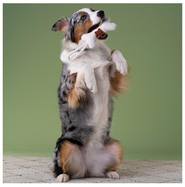 Игрушка Mr.Kranch для собак мелких и средних пород Косточка с канатом 31х9х4см