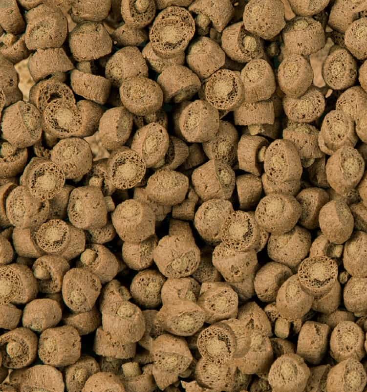 Корм для водных черепах SERA Reptil Professional Carnivor