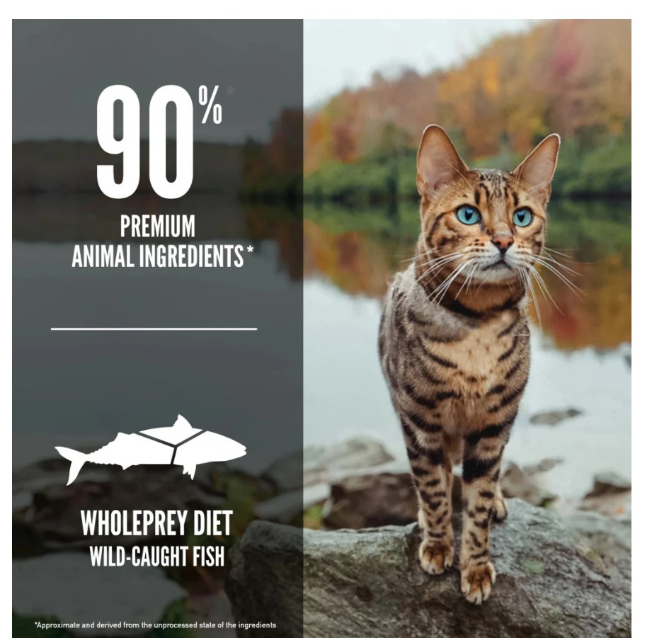 Сухой корм для кошек ORIJEN CAT SIX FISH