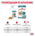 Влажный корм для пожилых кошек Royal Canin Ageing 11+ (кусочки в соусе) (85гр.х12 шт)