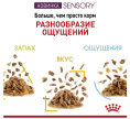 Влажный корм для кошек Royal Canin Sensory Taste (желе) (85 гр*12 шт)