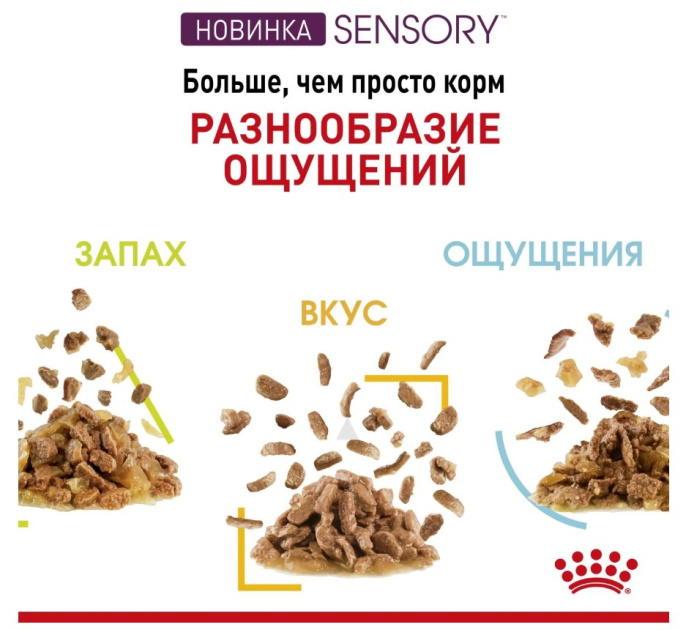 Влажный корм для кошек Royal Canin Sensory Taste (желе) (85 гр*12 шт)
