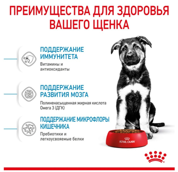 Сухой корм для щенков Royal Canin Maxi Puppy (15 кг)