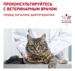 Сухой корм для кошек Royal Canin Hypoallergenic Cat