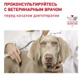 Сухой корм для собак Royal Canin Early Renal Dog (7 кг)