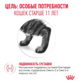 Влажный корм для пожилых кошек Royal Canin Ageing 11+ (кусочки в соусе) (85гр.х12 шт)