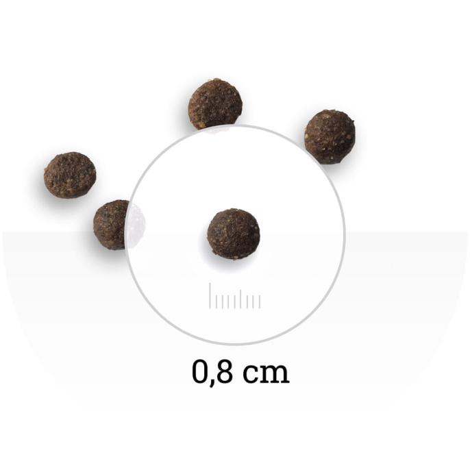 Сухой корм для щенков Bon Appetit DOG Puppy (курица, рис)