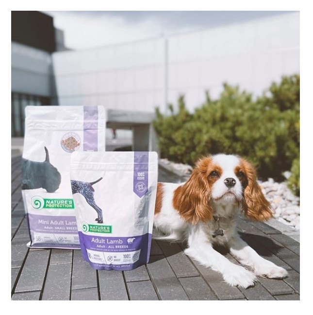 Сухой корм для собак Nature's Protection MINI ADULT LAMB (ягненок) (500 гр.)