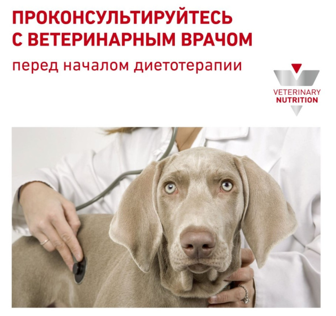 Консервы для собак Royal Canin Renal (0.41 кг)