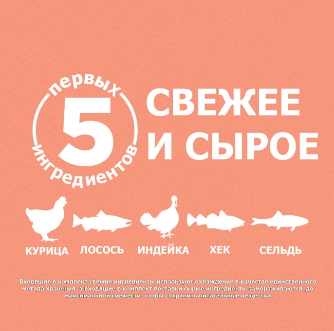 Сухой корм для щенков ORIJEN Puppy Small Breed Dog (курица) (1,8 кг)