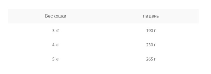 Влажный корм для кошек Animonda Vom Feinsten Senior Cat (Ягненок) (100 гр.)