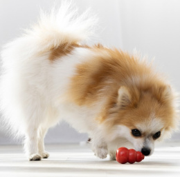 KONG Игрушка для собак Classic