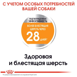 Сухой корм для собак Royal Canin Mini Coat Care