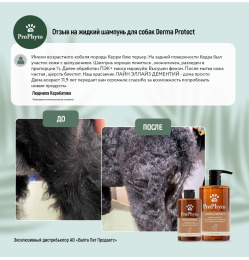 Шампунь для собак ProPhyto Derma Protect  против перхоти и себореи