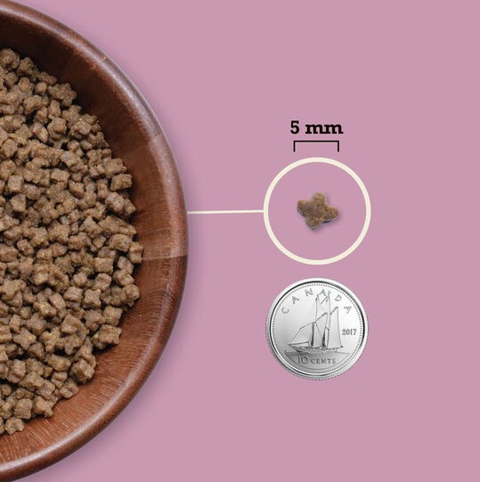 Сухой корм для котят ACANA Cat Kitten (1,8 кг)