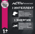 Сухой корм для собак Eukanuba Adult Large Breed (птица) (3 кг)