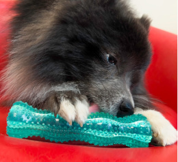 KONG Игрушка для собак Squeezz Dental Stick